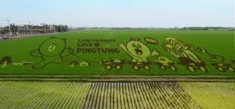 翻譯公司,合肥翻譯公司,合肥翻譯公司報價,合肥翻譯公司哪家好,資深翻譯公司,專業(yè)翻譯公司,首選翻譯公司,權(quán)威翻譯公司